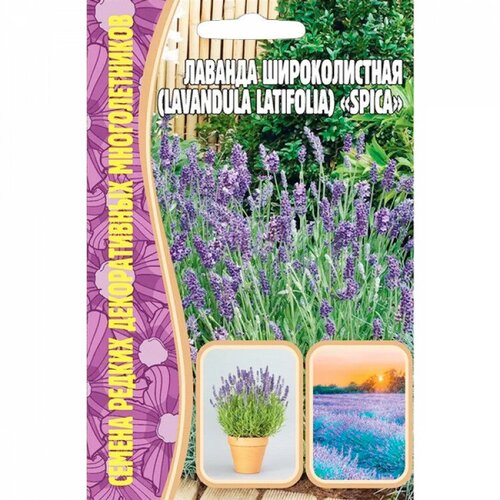 фотография Семена Лаванды широколистной (Lavandula latifolia) 