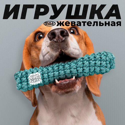 фотография Жевательная игрушка для собак Bullkins мягкая, без синтепонового наполнителя, для чистки зубов, безопасная, для крупных и мелких пород, купить за 600р