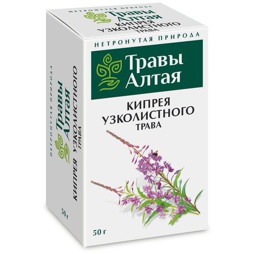 Кипрей узколистный (Иван чай) трава серии Алтай 50 г x1 фото