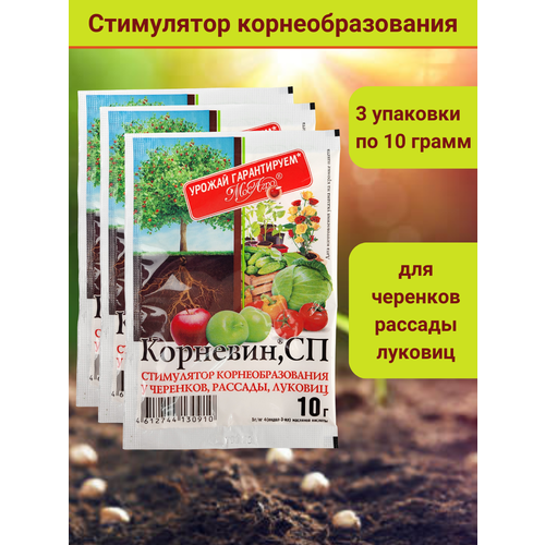 Корневин, стимулятор образования и роста корней, в комплекте 3 упаковки по 10 г. фото