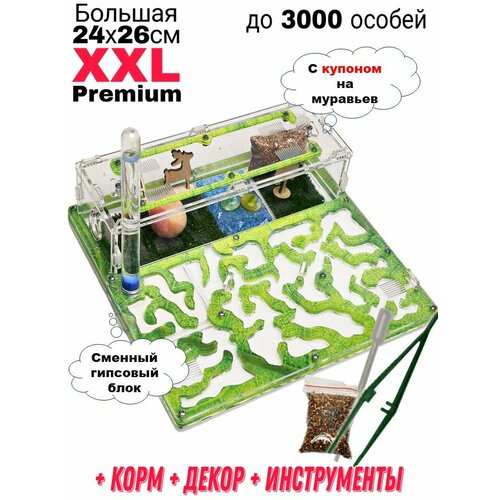 Большая муравьиная ферма XXL Premium 24*26см Полный комплект Салат фото