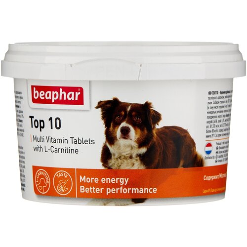 Кормовая добавка Beaphar Top 10 Multi Vitamin с L-карнитином для собак , 180 таб. фото