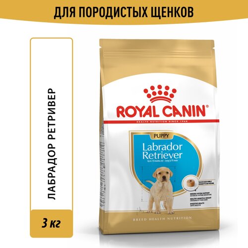 фотография Корм для собак Royal Canin Labrador Retriever Puppy (Лабрадор Ретривер Паппи), сухой для щенков породы лабрадор ретривер до 15 месяцев, 3 кг, купить за 5918р