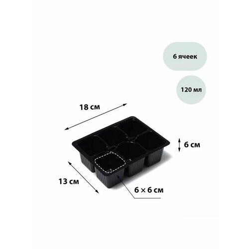 Кассета для рассады, на 6 ячеек, пластиковая, в наборе 10 шт фото