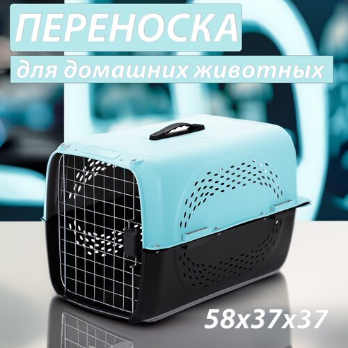 фотография Клиппер-переноска для животных Чистый котик HP-A02 37х37х58 см 58 см 37 см 37 см голубой, купить за 3428р