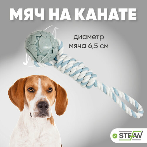 Игрушка для собак мяч на канате Комета STEFAN (Штефан), 6,5х6,5х32, голубой, TY5225 фото