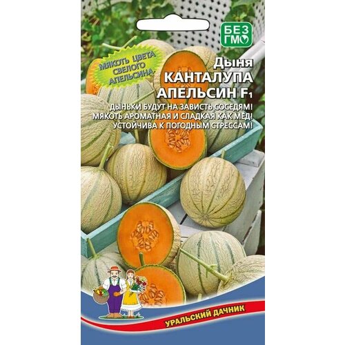 Дыня канталупа апельсин F1, 1 пакет, семена 6шт, Уральский Дачник фото