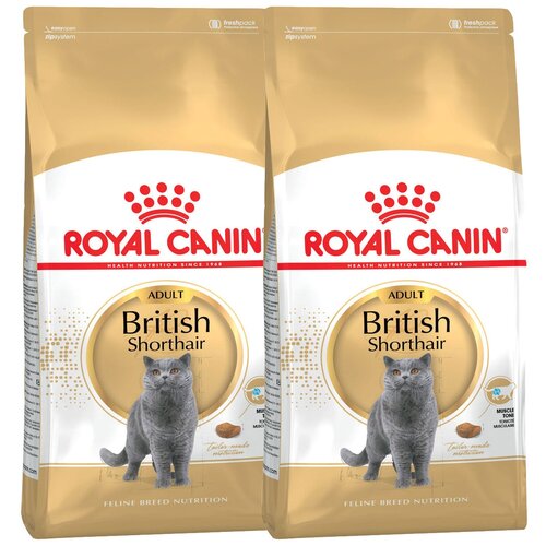 Сухой корм для кошек Royal Canin для британских короткошерстных 2 шт. х 2000 г фото