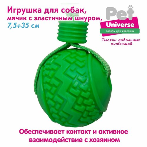 Игрушка для собак Pet Universe мячик с эластичным шнуром шнуром 35х7,5 см, ТПР+полиэстер, 110 гр, зелёный PU3055GN фото