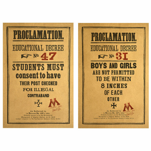 Набор из двух постеров №14 для вечеринки в стиле Гарри Поттер или тематической фотосессии фото