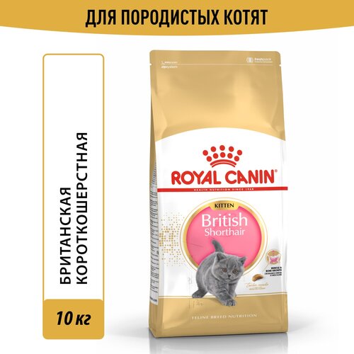 Корм Royal Canin British Shorthair Kitten (Британская Короткошерстная Киттен) сухой сбалансированный для британских короткошерстных котят, 10 кг фото