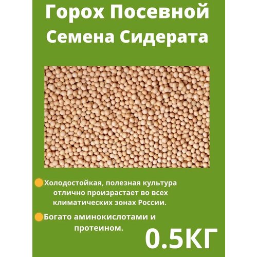 фотография Семена Гороха 0.5 кг, купить за 153р