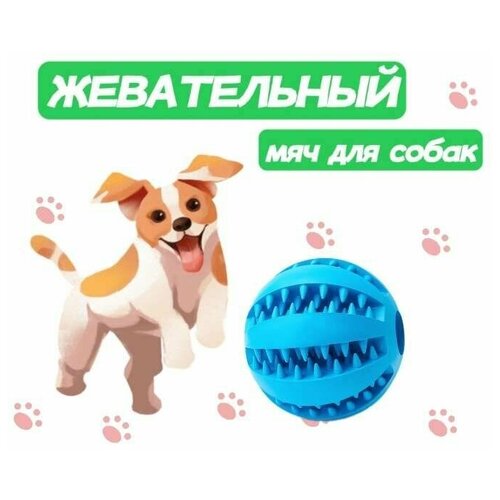 Жевательная игрушка мяч для собак и кошек, шарик для чистки зубов 5см фото