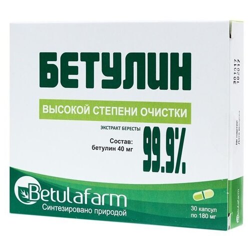 Бетулин капс., 0.18 г, 30 шт. фото
