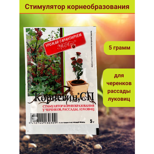 Корневин, стимулятор образования и роста корней, в комплекте упаковка 5 гр. фото