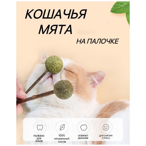 Игрушка для кошек из натуральной кошачьей мяты шарик/Мятный мячик/Шар из кошачьей мяты фото