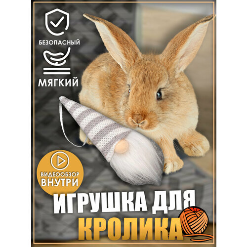 фотография Игрушка для кролика, гномики, игрушки для грызунов, игрушки для животных, купить за 627р