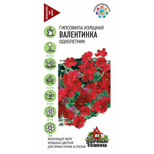 Семена Гипсофила изящная Валентинка, 0,1г, Удачные семена, 10 упаковок фото