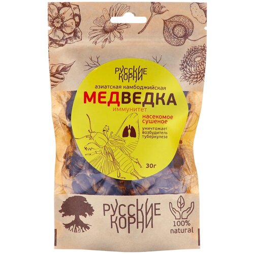 Концентрат Русские корни Медведка азиатская сушеная, 30 г фото