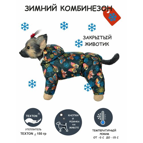 Зимний комбинезон для собак DOGMODA Бабочки девочка размер 4 фото