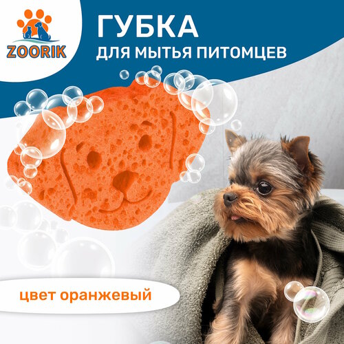 Губка для мытья животных / ZOORIK / Зурик / 