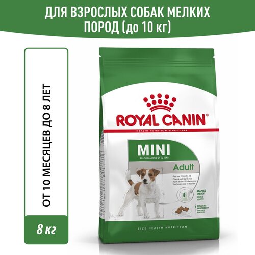 фотография Сухой корм для собак Royal Canin Mini Adult для собак мелких пород, 8 кг, купить за 4902р