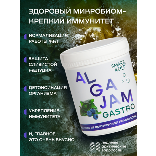 Желе из ламинарии с черникой ALGAJAM GASTRO (альгаджем), 500 г фото