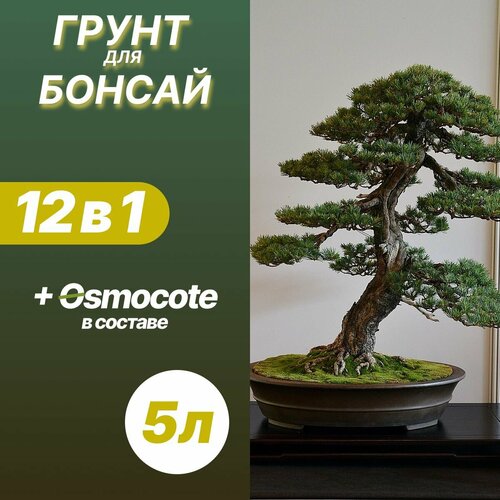 Грунт для Бонсай 5л / Бионика фото