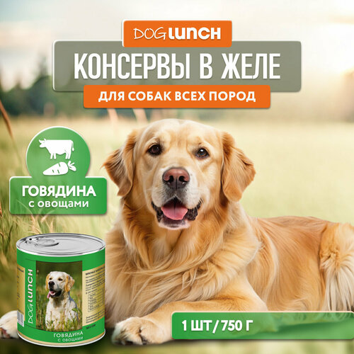 фотография Влажный корм для собак Dog Lunch говядина, с овощами 1 уп. х 1 шт. х 750 г, купить за 244р