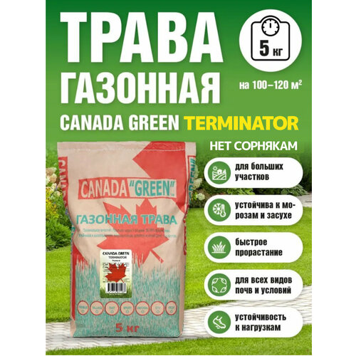 Газонная трава семена Канада Грин Нет сорнякам 5кг / Canada Green Terminator 5кг фото