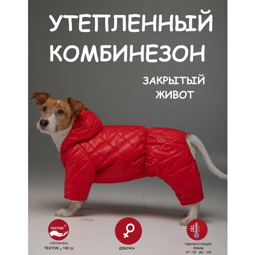 Комбинезон для собак DOGMODA стеганный девочка спина 37 см фото