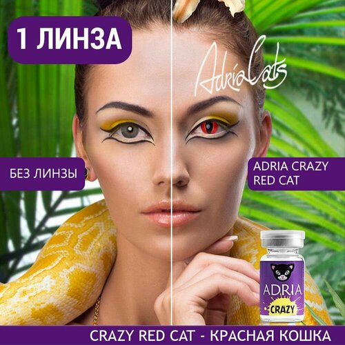 Контактные линзы ADRIA Crazy, 1 шт., R 8,6, D 0, ADD: средняя, red cat, 1 уп. фото