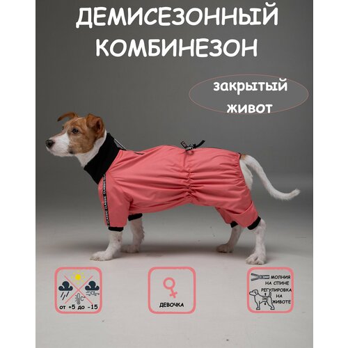 Комбинезон для собак DOGMODA Классик девочка коралл размер 5 фото