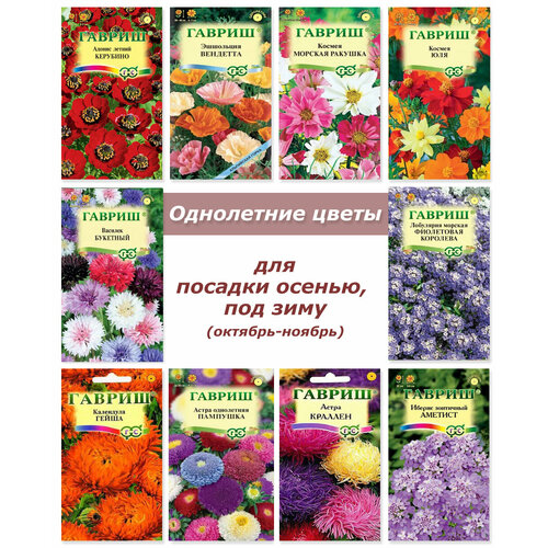 Набор семян, семена однолетних цветов фото