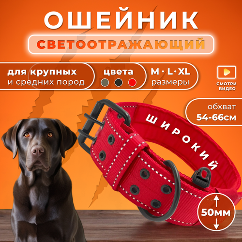 Ошейник для собак Doggy&Dog Shop красный фото