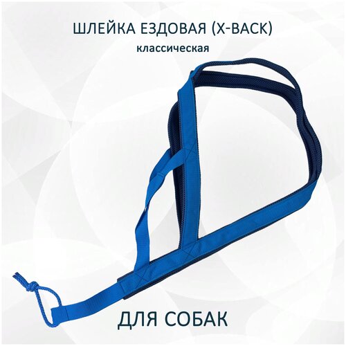 Шлейка ездовая X-Back, классическая синяя фото