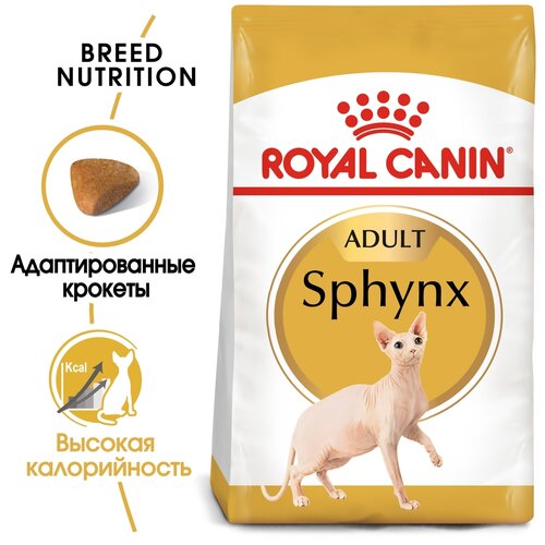 Сухой корм для кошек Royal Canin Sphynx Adult для взрослых кошек  породы Сфинкс от 1 года до 12 лет 2 уп. х 2000 г фото