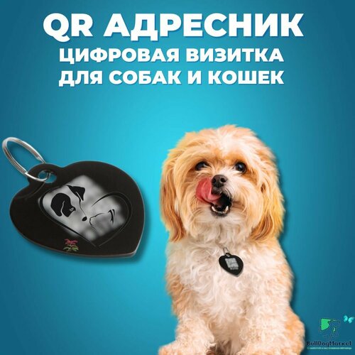 Адресник для собак и кошек с гравировкой QR кода, сердечко фото