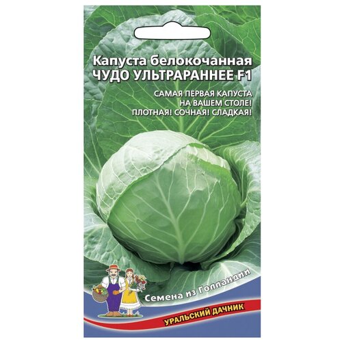 Семена Уральский дачник из Голландии Капуста белокочанная Чудо ультрараннее F1 0.3 г, 3 уп. фото