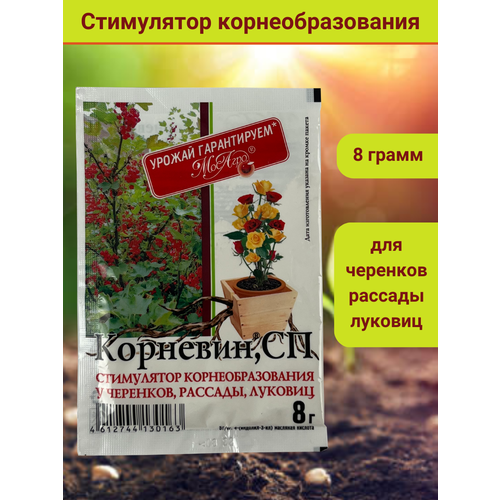 Корневин, стимулятор образования и роста корней, в комплекте упаковка - 8 гр. фото