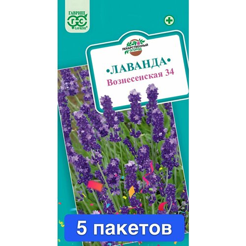 Цветы Лаванда узколистная Вознесенская 34, 5 пакетов фото