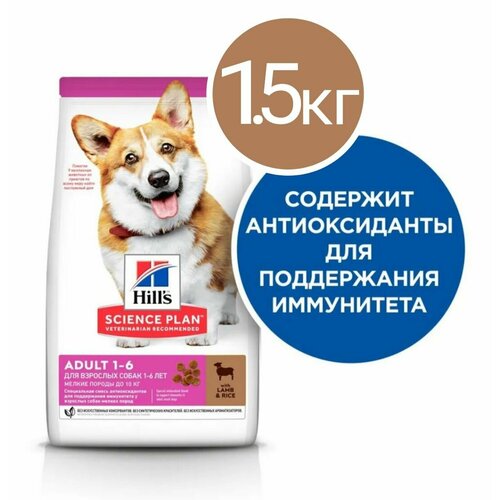 фотография Сухой корм Hill's Science Plan Small&Mini для взрослых собак мелких пород для поддержания здоровья кожи и шерсти, с ягнёнком 1.5 кг, купить за 5950р