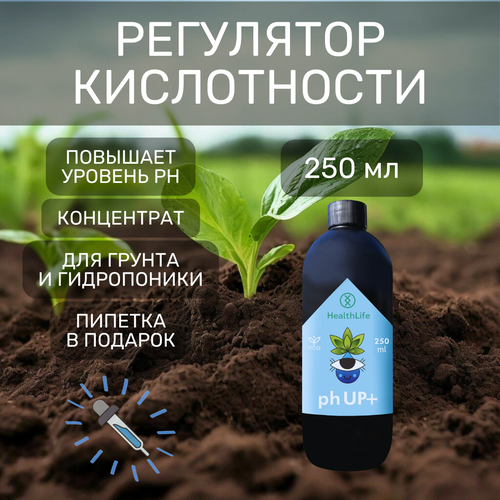 Буферный раствор регулятор кислотности HealthLife pH UP + плюс для повышения 250 мл для гидропоники и грунта фото