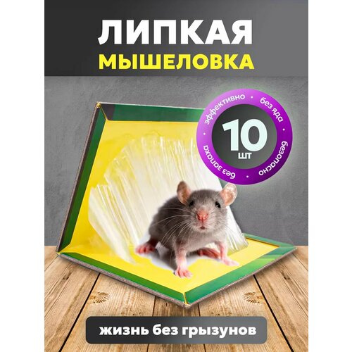 Клеевая мышеловка ловушка от крыс и мышей, 10 шт фото