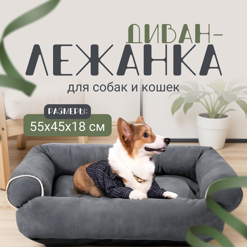 Лежанка для собак и кошек ZOOWELL Classic Диван кровать для животных с бортиками, 55*45*18 см фото