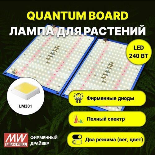 Светильник для растений/ quantum board c диодами LM-301, фитолампа 240 ватт, Mean Well, 5000К, квантум борд фото