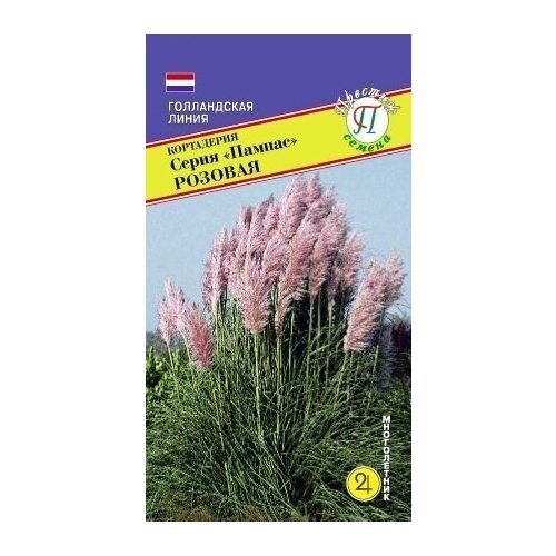 Пампасная трава Розовая. Кортадерия. Семена. Многолетник. Высота растения 2,5-3 м. Соцветия используют на срезку в свежем или засушенном виде фото