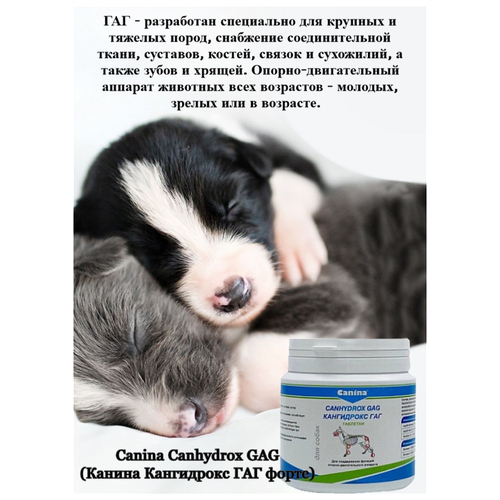 Добавка в корм для собак Canina Canhydrox GAG Forte (100г/60таб) фото