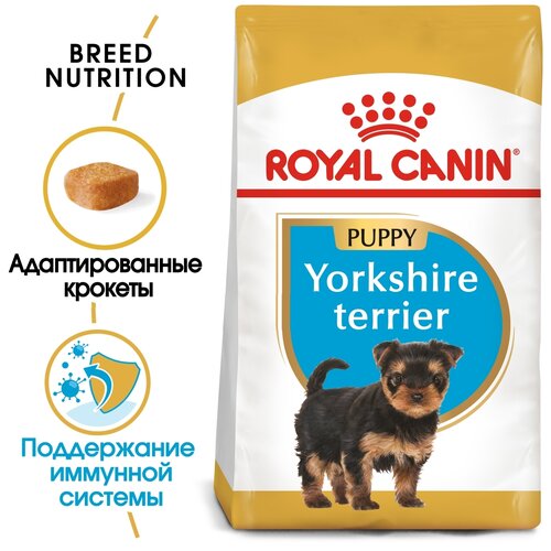 Сухой корм для щенков Royal Canin Йоркширский терьер 1 уп. х 2 шт. х 500 г (для мелких пород) фото