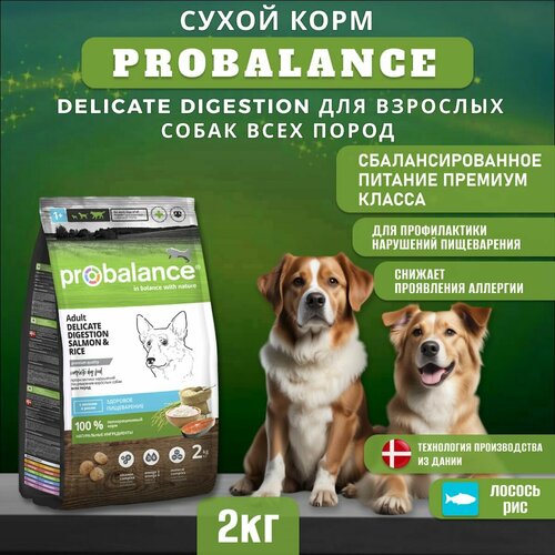 фотография Сухой корм ProBalance Delicate Digestion для взрослых собак всех пород с лососем и рисом, при нарушении пищеварения, 2 кг, купить за 611р